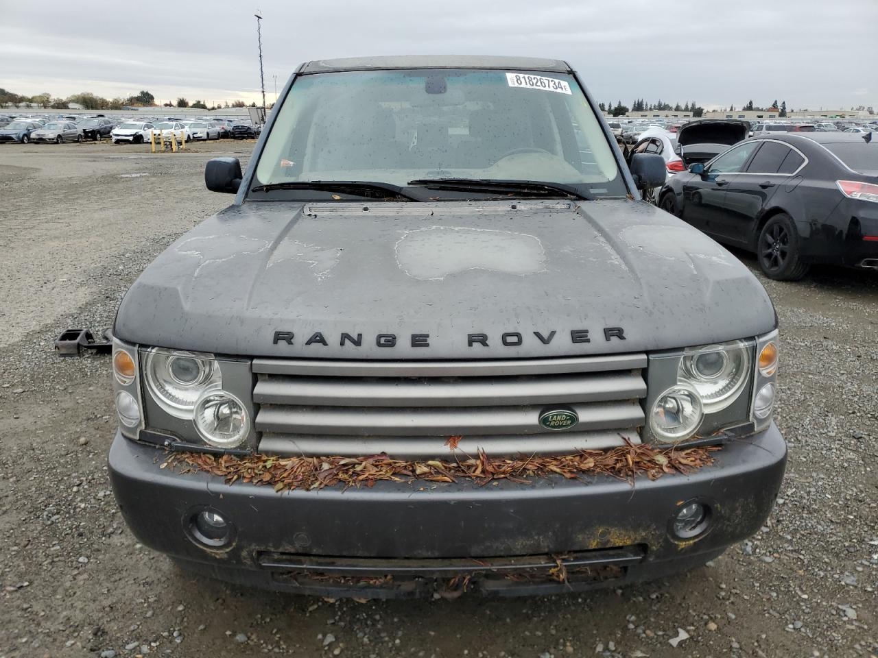 Lot #3030385489 2004 LAND ROVER RANGE ROVE