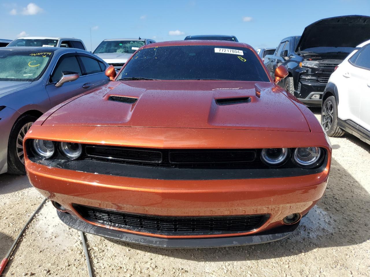 Lot #2990733983 2022 DODGE CHALLENGER