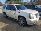 CADILLAC ESCALADE L photo