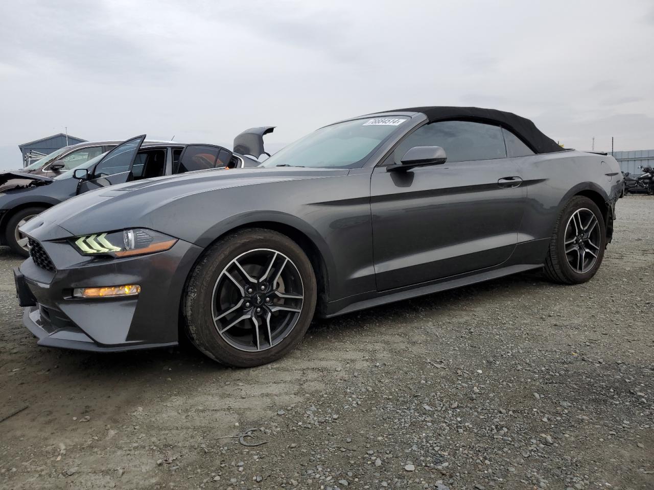 Lot #3037873266 2019 FORD MUSTANG