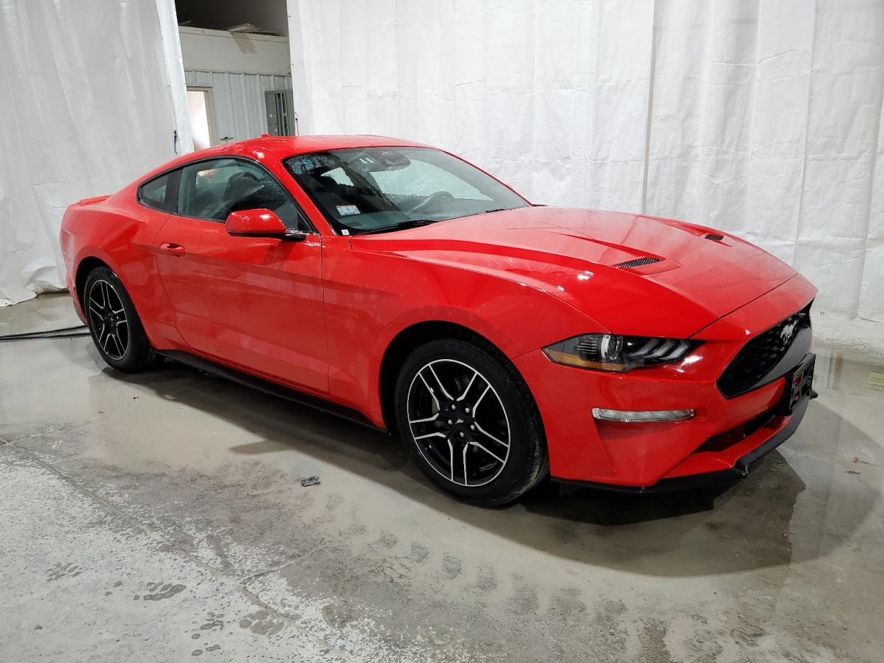 Lot #2988749658 2023 FORD MUSTANG