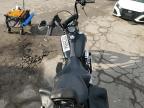 Lot #3024745243 2016 HARLEY-DAVIDSON FXDB DYNA