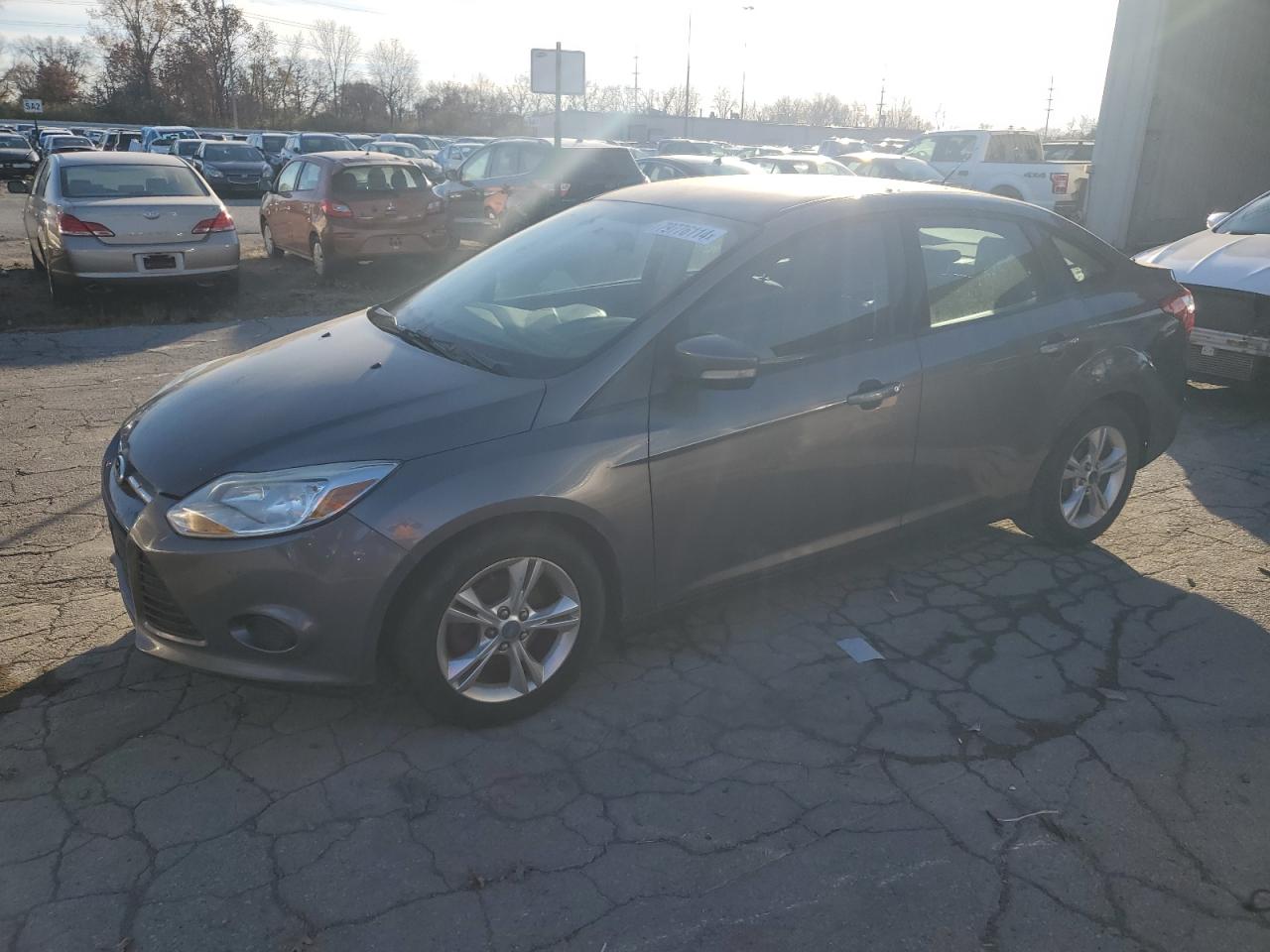 Lot #2969642372 2013 FORD FOCUS