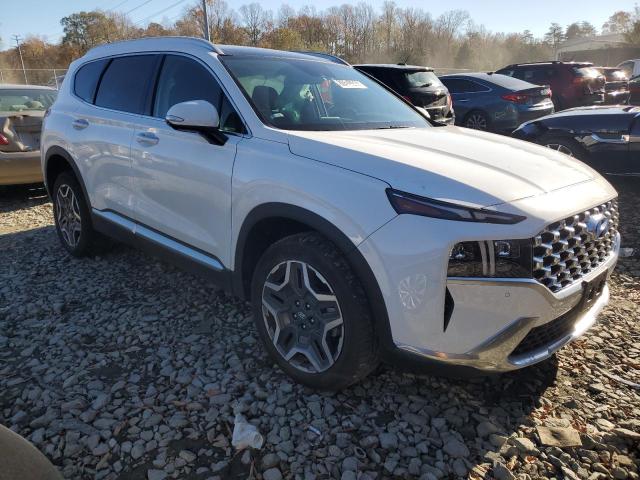 2023 HYUNDAI SANTA FE L - 5NMS5DA10PH008540