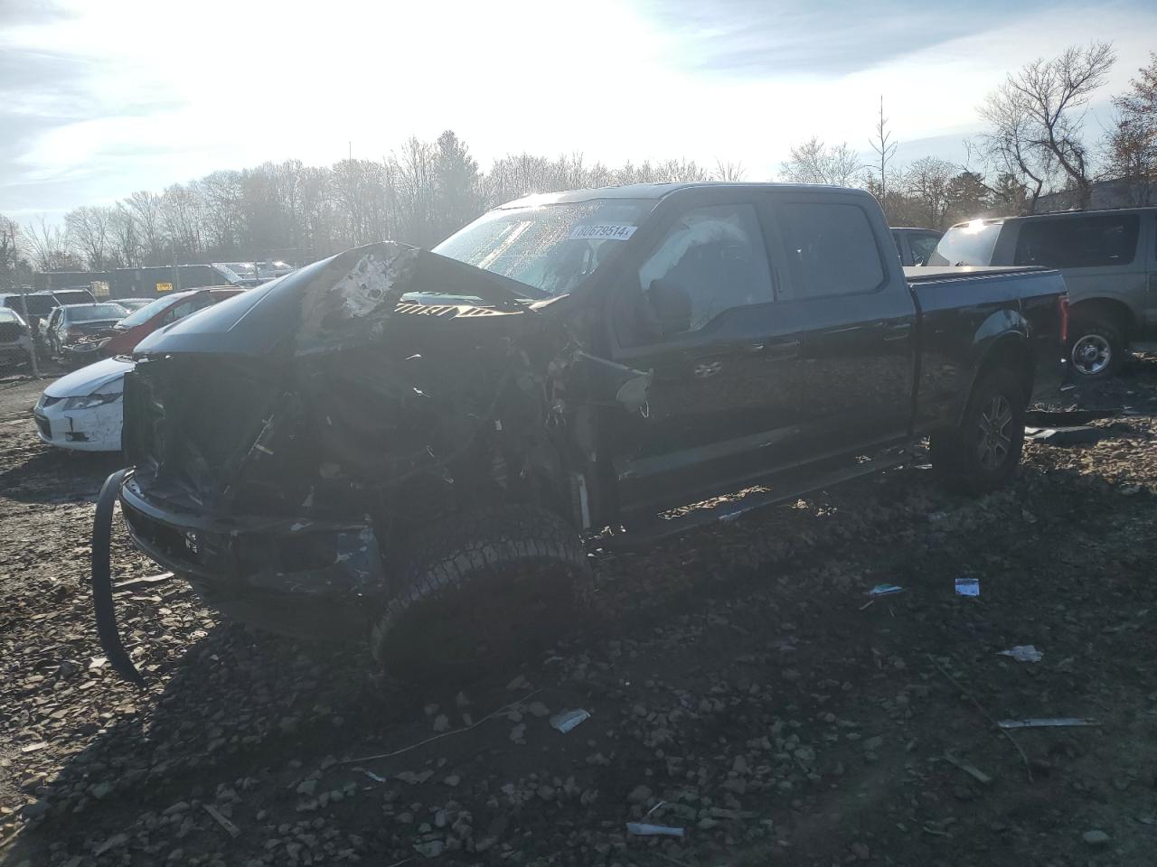  Salvage Ford F-150