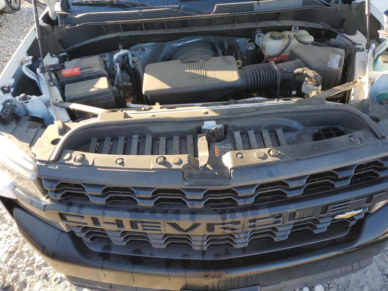 Lot #2986463018 2020 CHEVROLET SILVERADO