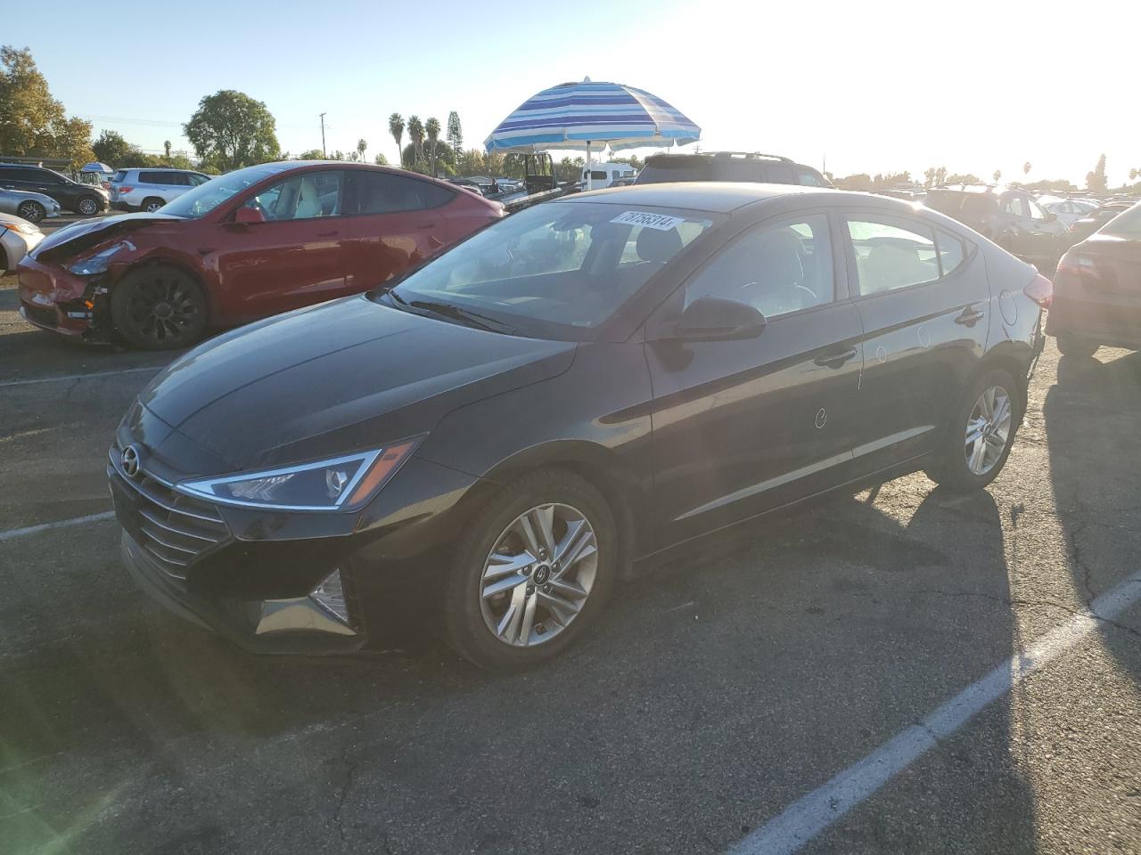 Lot #3009119264 2020 HYUNDAI ELANTRA SE