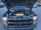 FORD F150 RAPTO photo