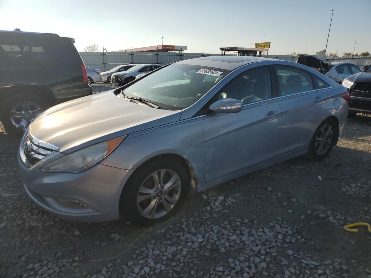 Lot #2979461636 2013 HYUNDAI SONATA SE