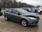 FORD FOCUS SE photo