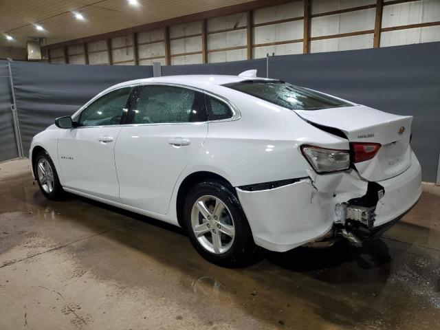 VIN 1G1ZD5ST4RF131726 2024 Chevrolet Malibu, LT no.2