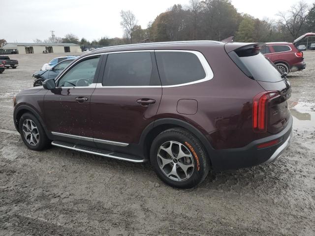 KIA TELLURIDE 2020 burgundy  gas 5XYP34HC2LG061604 photo #3