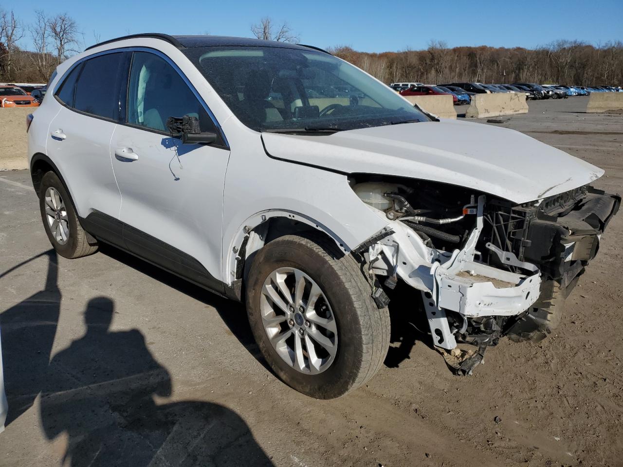 Lot #2988930606 2021 FORD ESCAPE SE