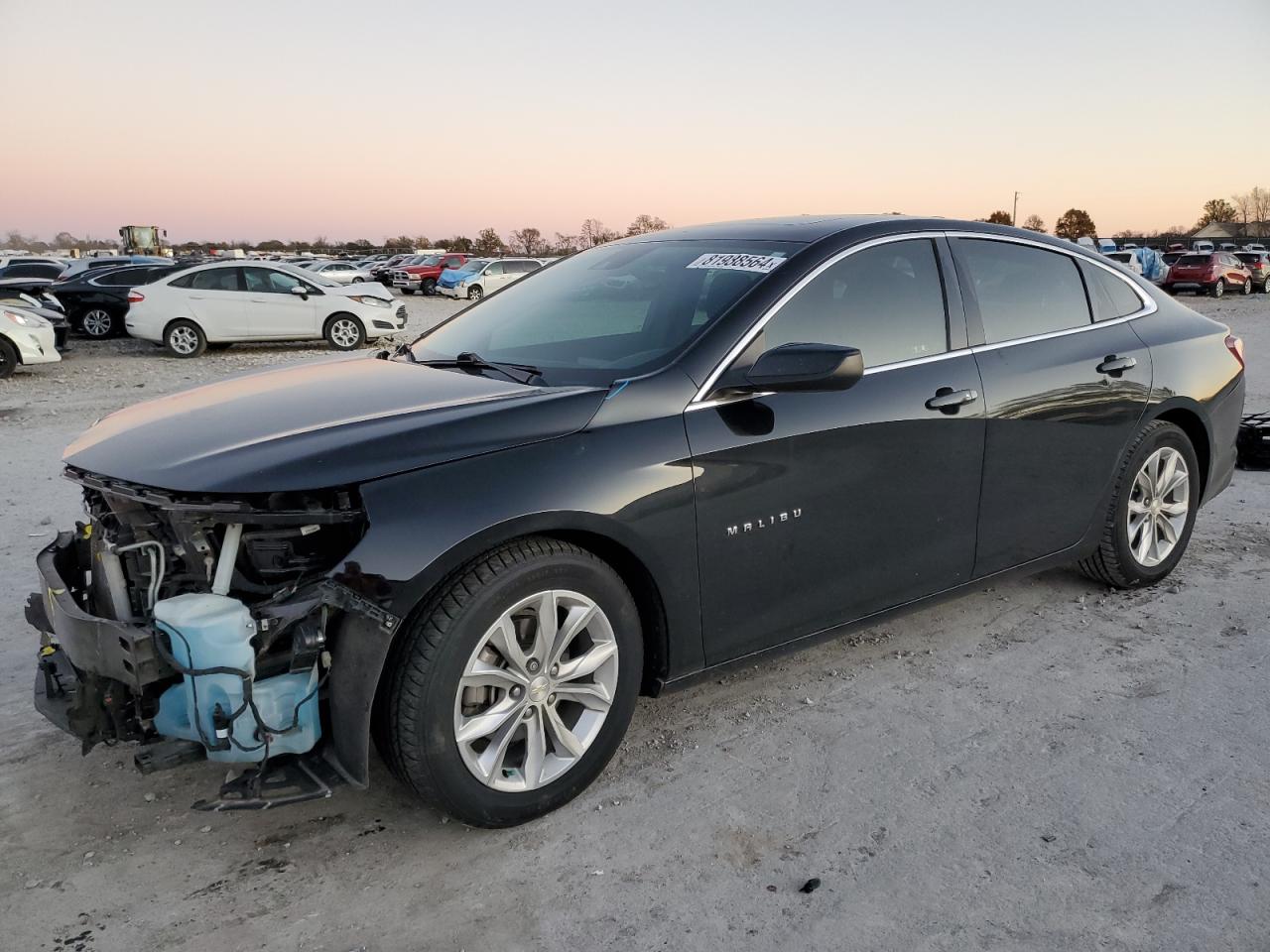 Lot #3029674091 2019 CHEVROLET MALIBU LT