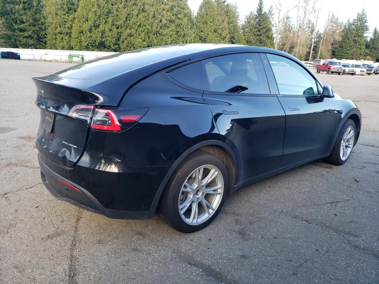 Lot #2989373703 2021 TESLA MODEL Y