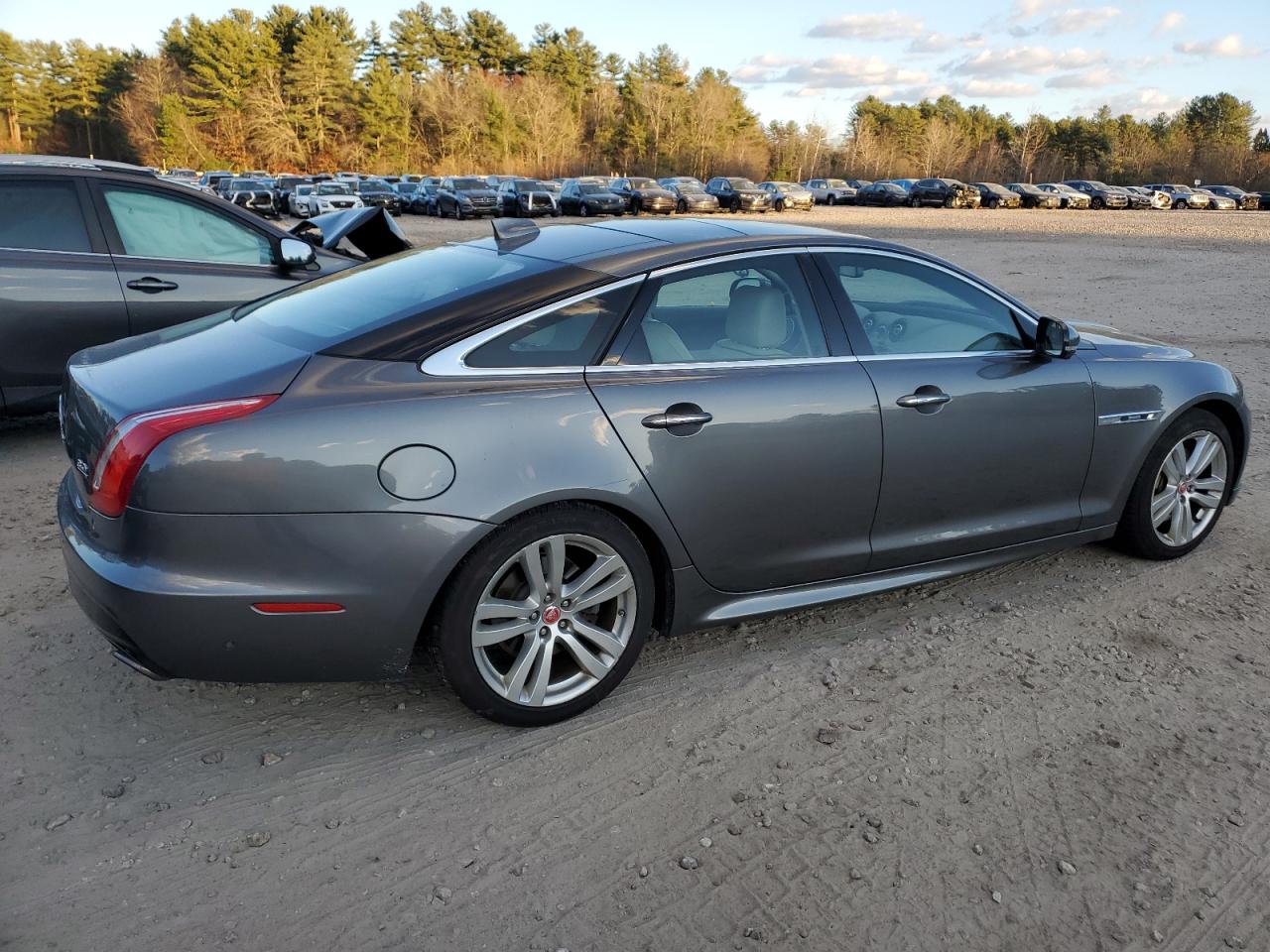 Lot #2988132995 2017 JAGUAR XJ