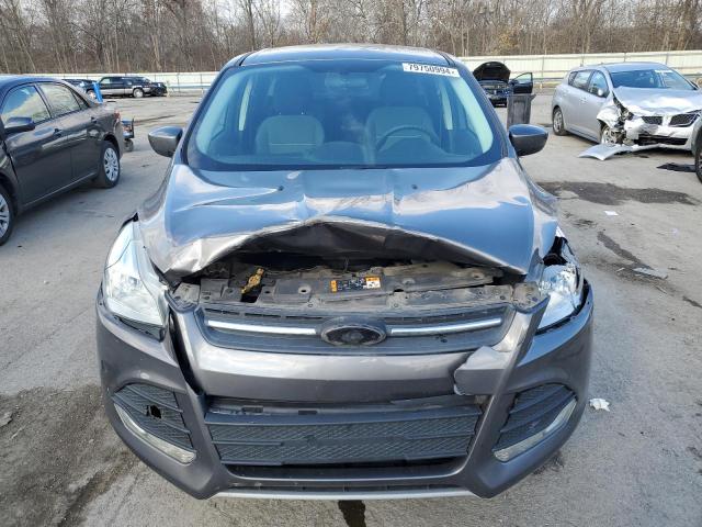 VIN 1FMCU9GX1DUB37807 2013 Ford Escape, SE no.5