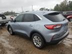 Lot #2996074390 2022 FORD ESCAPE SE