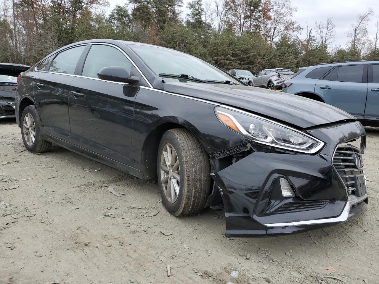 Lot #3029578070 2019 HYUNDAI SONATA SE