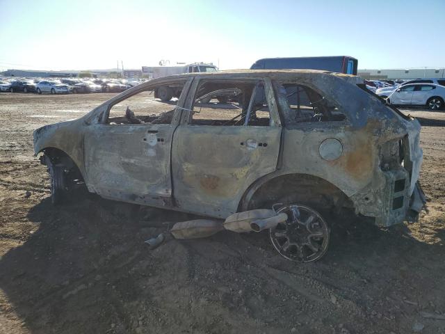 LINCOLN MKX 2007 burn  gas 2LMDU68C37BJ28300 photo #3