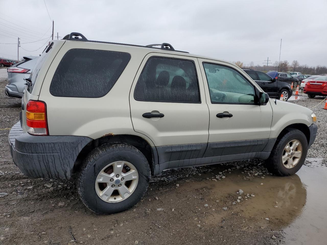 Lot #3003902605 2005 FORD ESCAPE