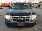 Lot #3025040258 2011 FORD ESCAPE XLT