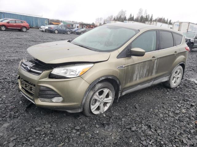 Global Auto Auctions: 2013 FORD ESCAPE SE