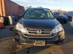 Lot #3045571661 2010 HONDA CR-V EX