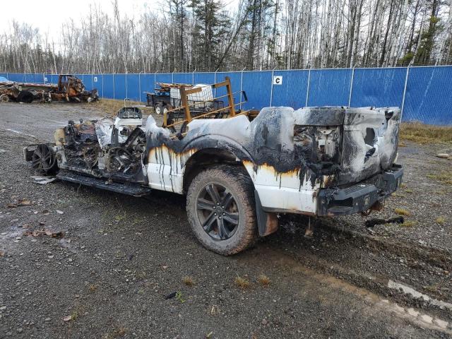 Vin: 1ftfw1e10mfc55461, lot: 82292774, ford f-150 supercrew 20212