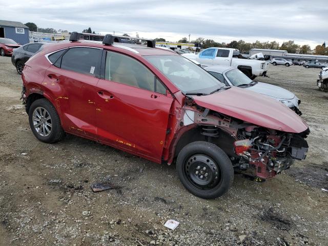 2020 LEXUS NX 300 JTJDARDZ2L5016524