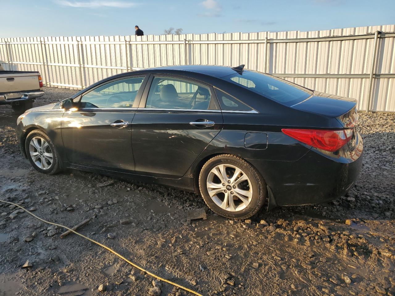 Lot #2986837228 2011 HYUNDAI SONATA SE