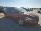 NISSAN MAXIMA S photo