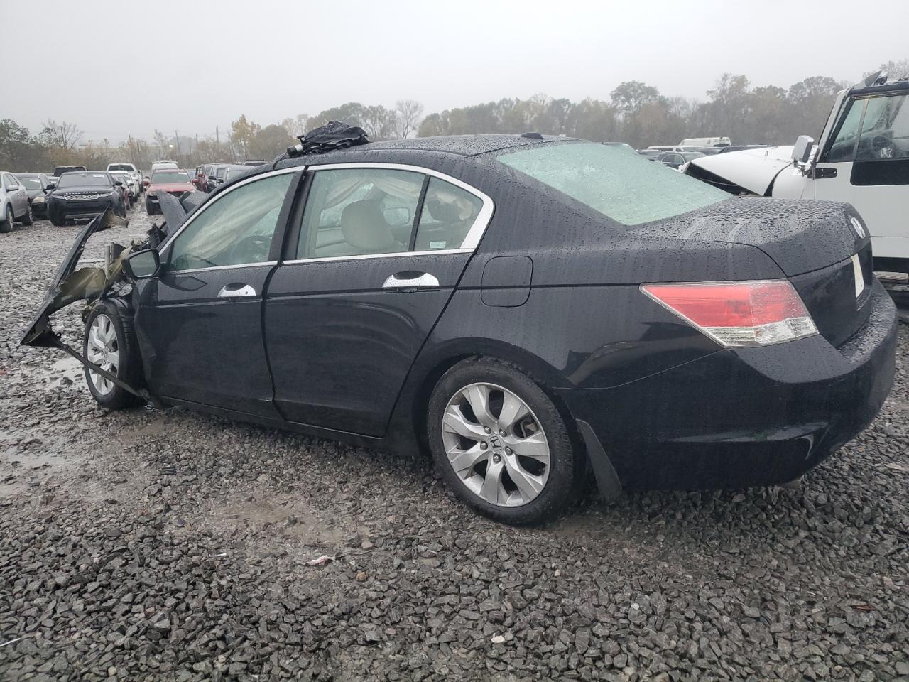 Lot #3024924354 2008 HONDA ACCORD EXL