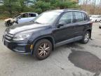 Lot #3022873382 2017 VOLKSWAGEN TIGUAN S