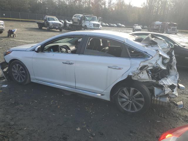 2016 HYUNDAI SONATA SPO - 5NPE34AF5GH365181