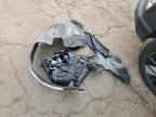 Lot #3025085177 2024 HYUNDAI KONA SEL