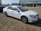 Lot #2965485224 2012 CHEVROLET MALIBU 1LT