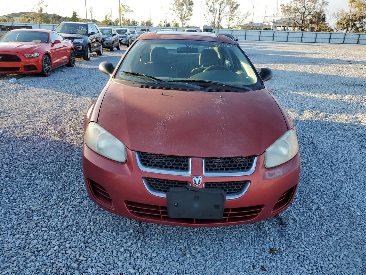 Lot #2993698150 2004 DODGE STRATUS SX