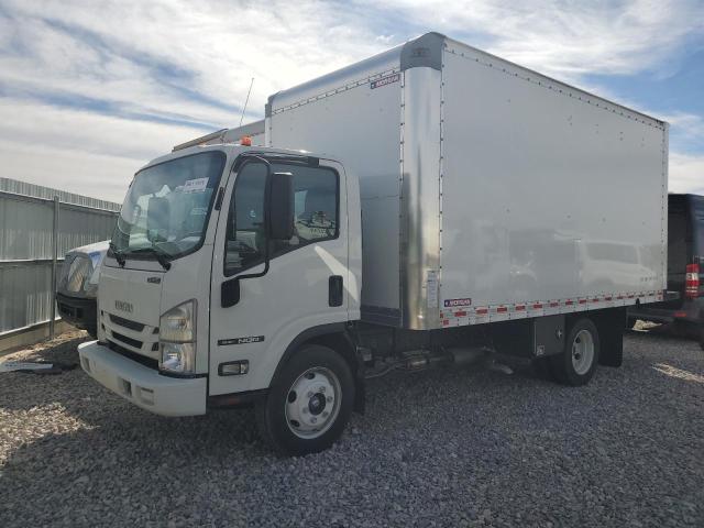 2022 ISUZU NQR #2993583176