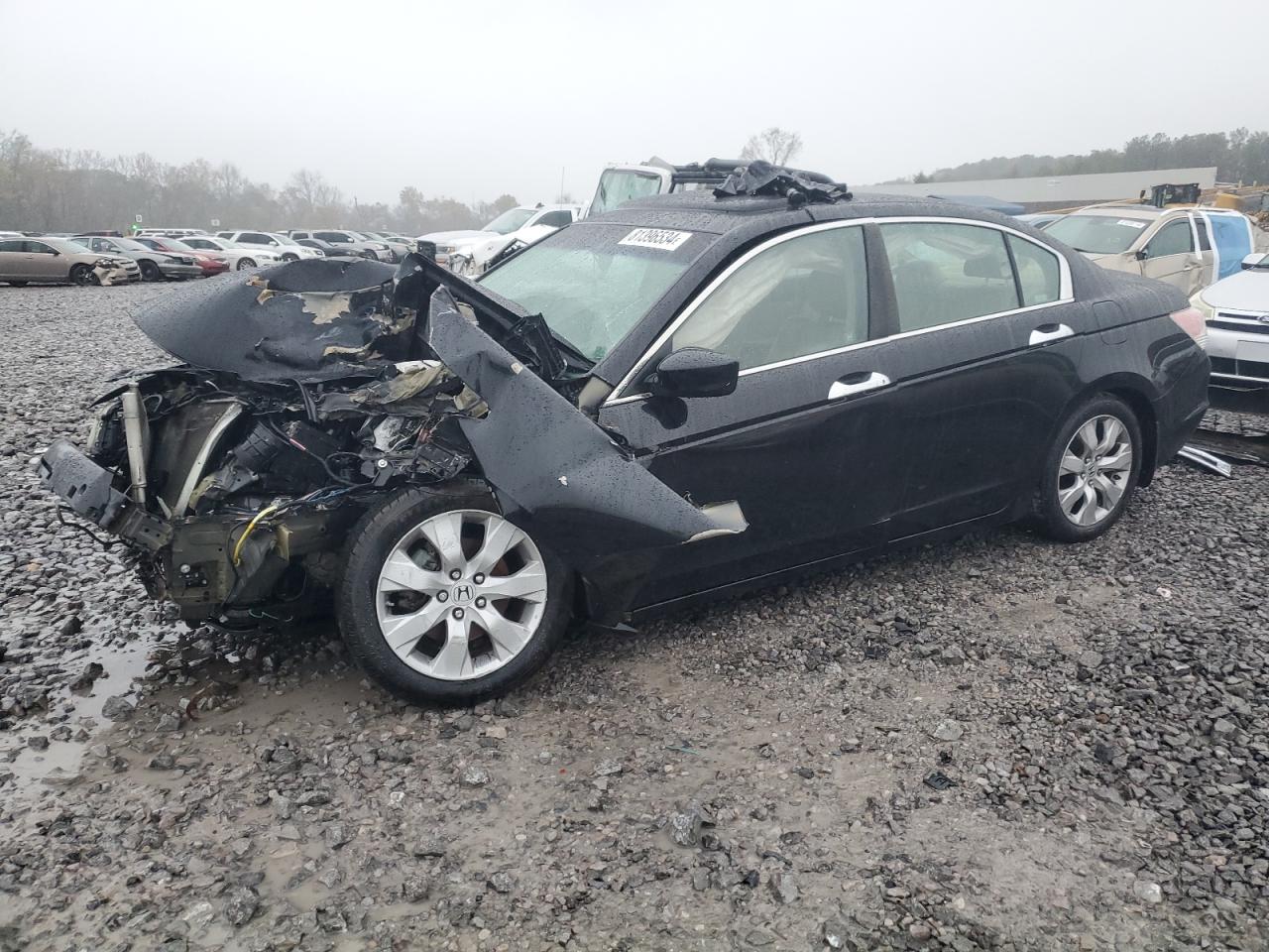 Lot #3024924354 2008 HONDA ACCORD EXL