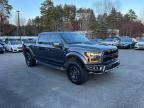 FORD F150 RAPTO photo