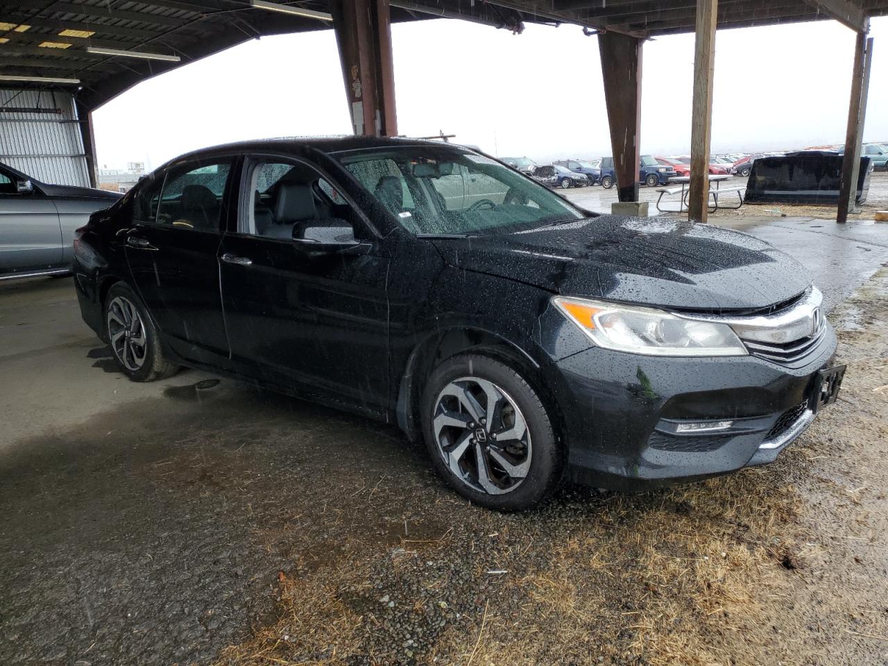 Lot #3024492556 2017 HONDA ACCORD EXL