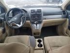 Lot #3008548956 2010 HONDA CR-V EX