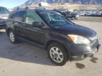 Lot #3023831918 2007 HONDA CR-V EX