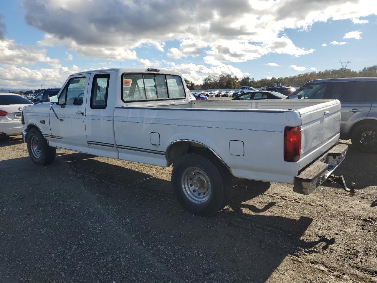 Lot #3029723697 1995 FORD F150