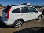 Lot #3024990161 2007 HONDA CR-V EXL