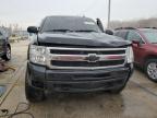 Lot #3020278478 2010 CHEVROLET SILVERADO