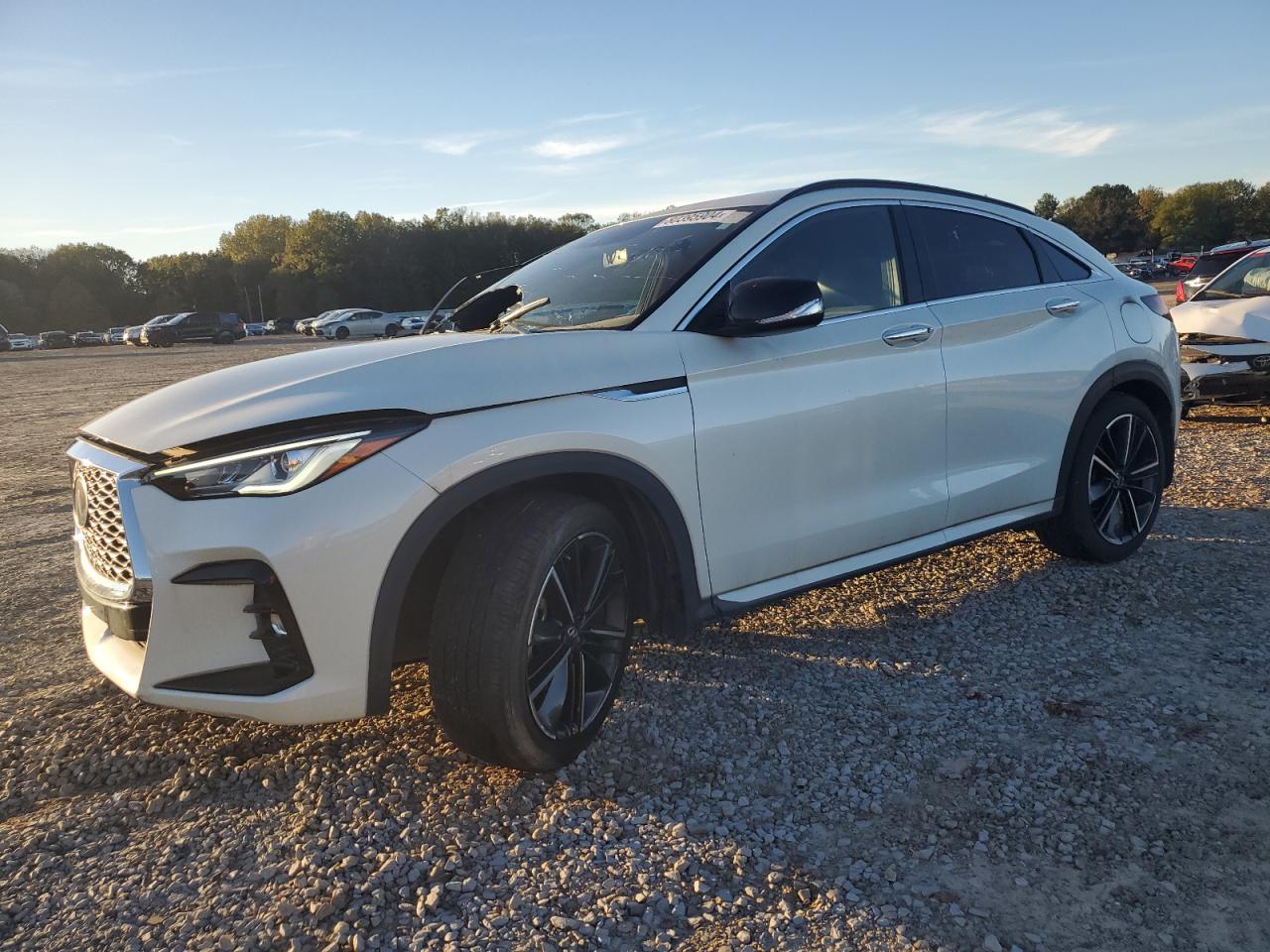 Lot #2991607017 2023 INFINITI QX55 LUXE