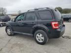 FORD ESCAPE XLT photo