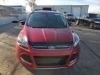 Lot #3024208803 2014 FORD ESCAPE TIT